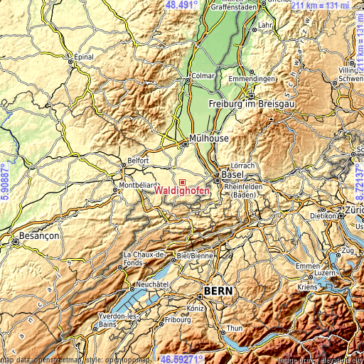 Topographic map of Waldighofen
