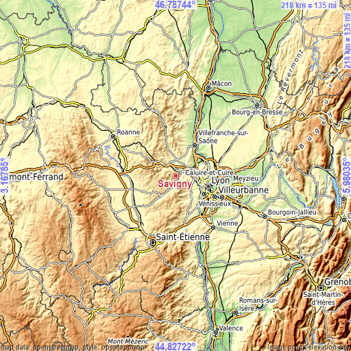 Topographic map of Savigny