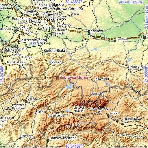 Topographic map of Zubrzyca Górna