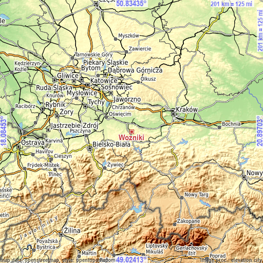 Topographic map of Woźniki