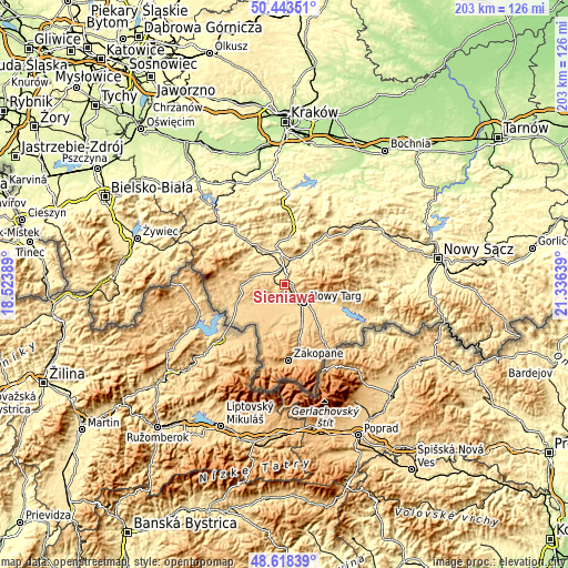 Topographic map of Sieniawa