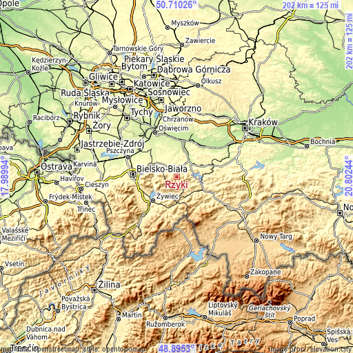 Topographic map of Rzyki