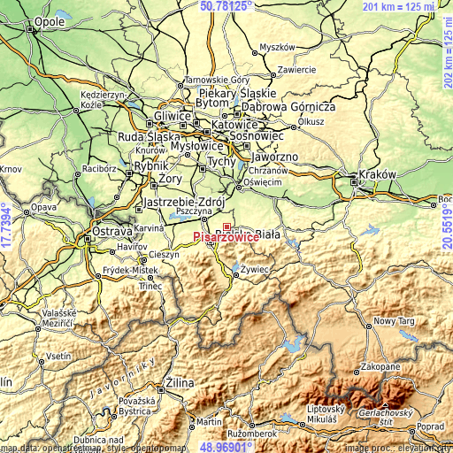 Topographic map of Pisarzowice