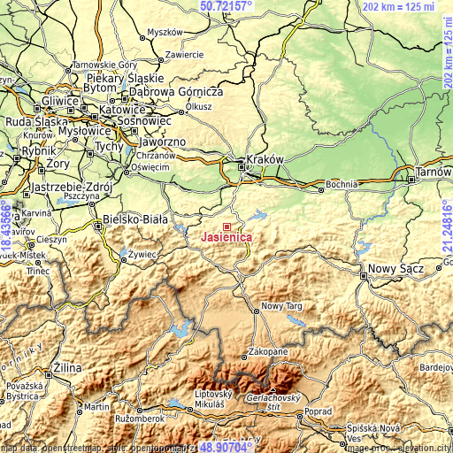 Topographic map of Jasienica