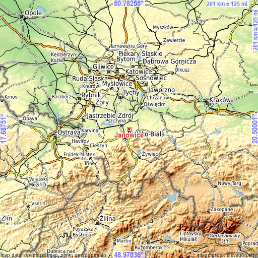 Topographic map of Janowice