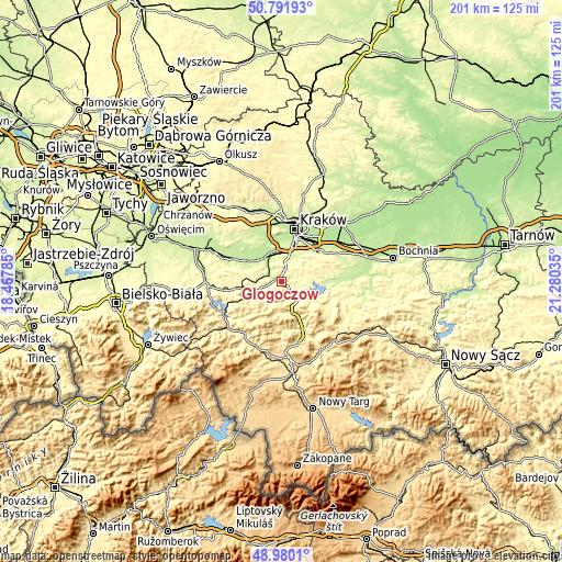 Topographic map of Głogoczów