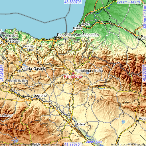Topographic map of Pamplona