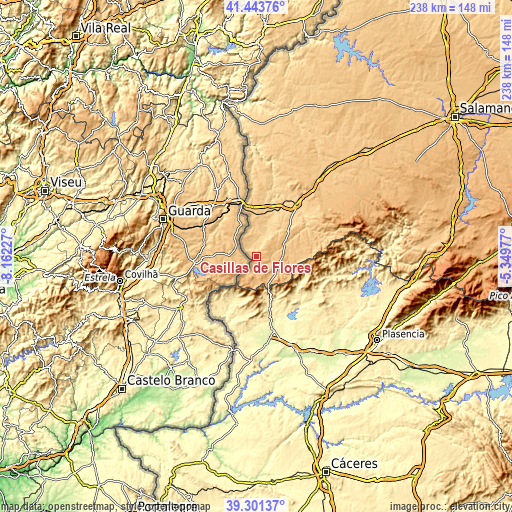 Topographic map of Casillas de Flores