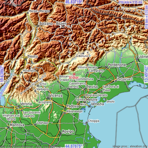 Topographic map of Vidor