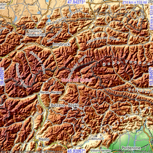 Topographic map of Selva dei Molini