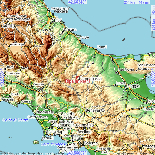 Topographic map of Ripalimosani