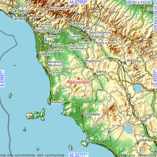 Topographic map of Radicondoli