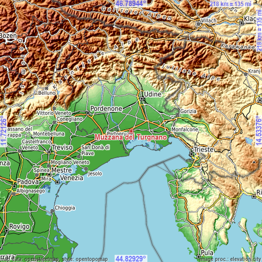 Topographic map of Muzzana del Turgnano