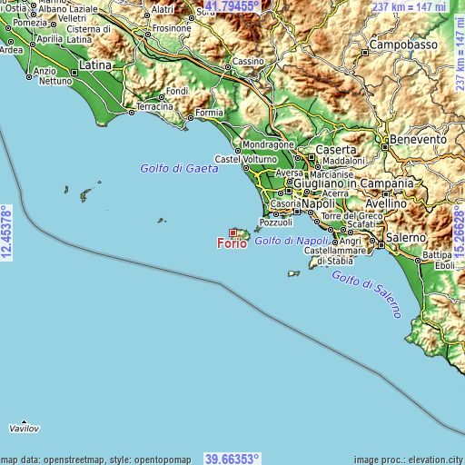 Topographic map of Forio