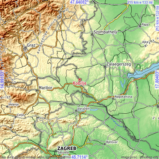 Topographic map of Kobilje