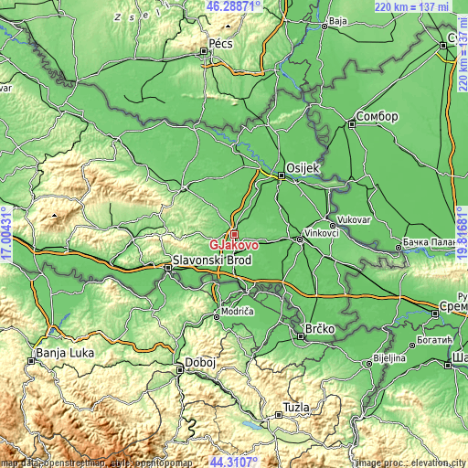 Topographic map of Đakovo