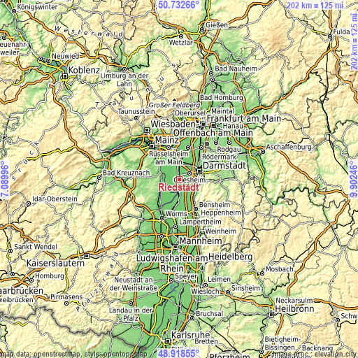 Topographic map of Riedstadt