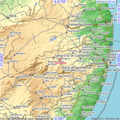 Topographic map of Toritama