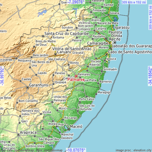 Topographic map of Palmares