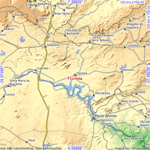 Topographic map of Floresta