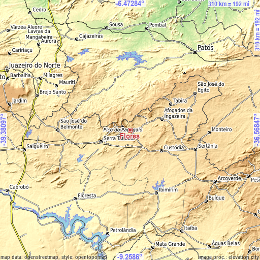 Topographic map of Flores
