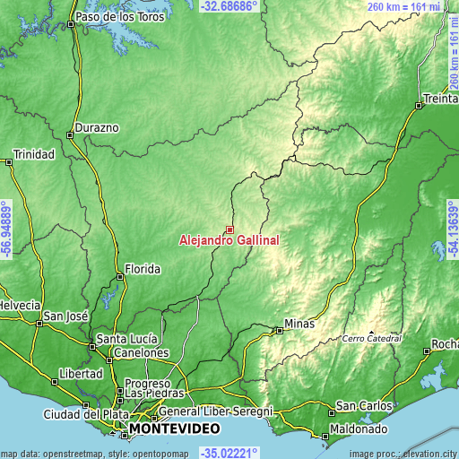 Topographic map of Alejandro Gallinal