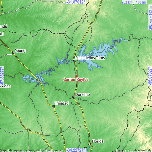 Topographic map of Carlos Reyles