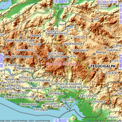 Topographic map of San Pedro de Tutule