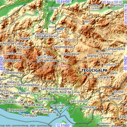 Topographic map of Flores