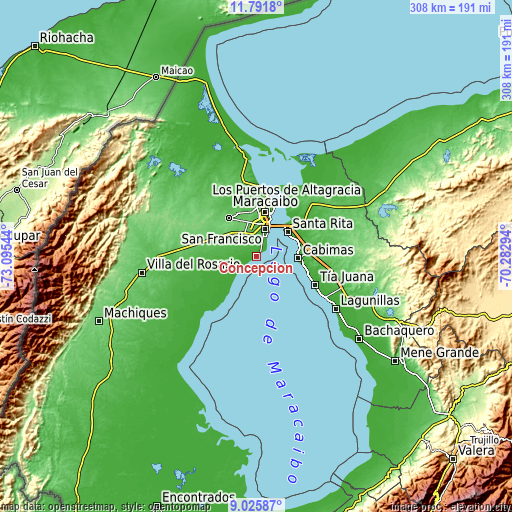 Topographic map of Concepción