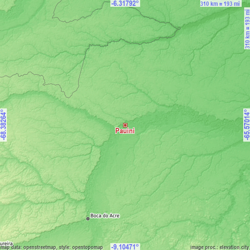 Topographic map of Pauini