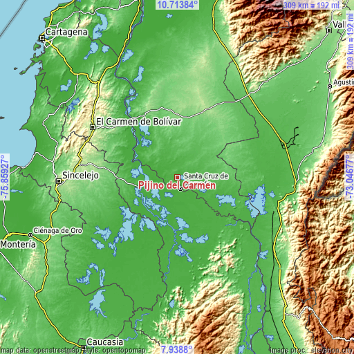 Topographic map of Pijiño del Carmen