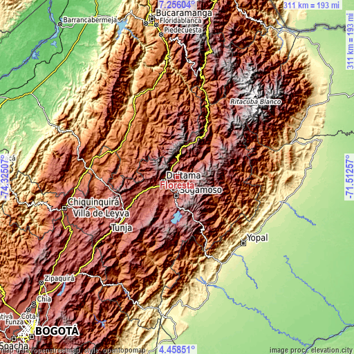 Topographic map of Floresta