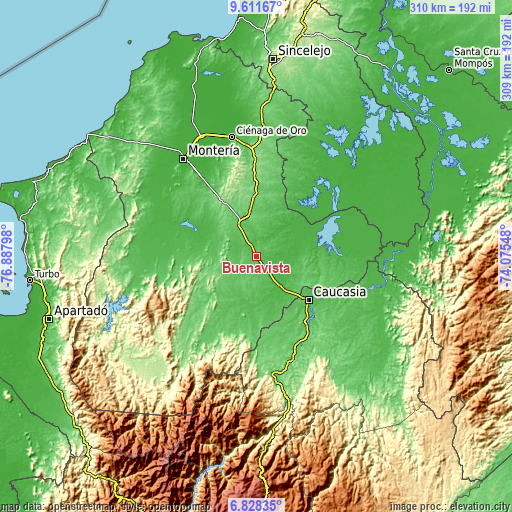 Topographic map of Buenavista