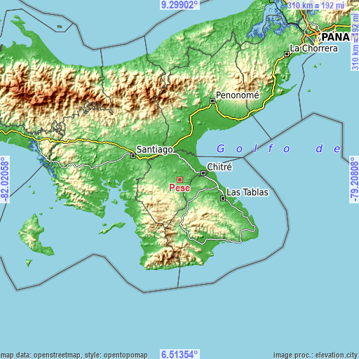 Topographic map of Pesé