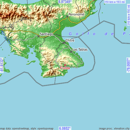 Topographic map of Flores