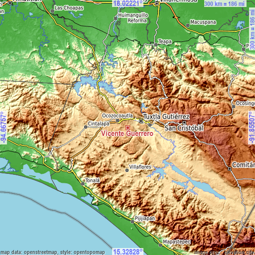 Topographic map of Vicente Guerrero