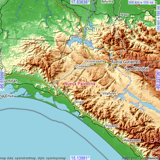 Topographic map of Nueva Palestina