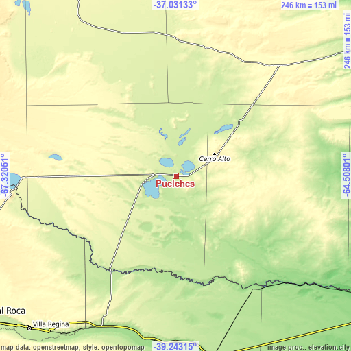 Topographic map of Puelches