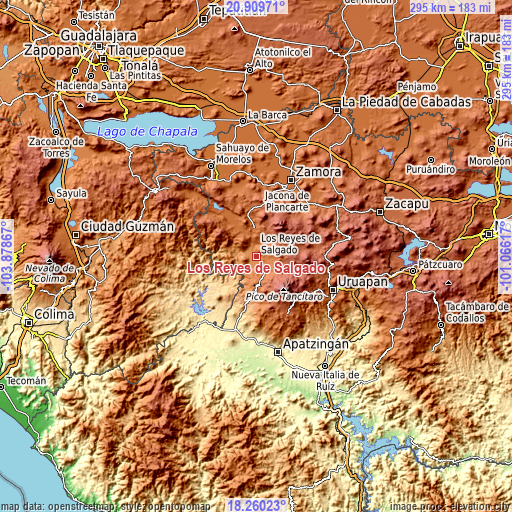 Topographic map of Los Reyes de Salgado