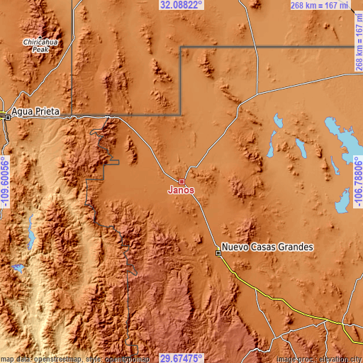 Topographic map of Janos