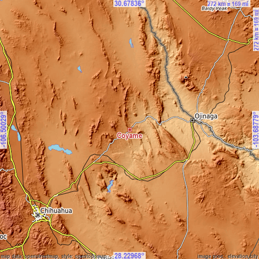 Topographic map of Coyame