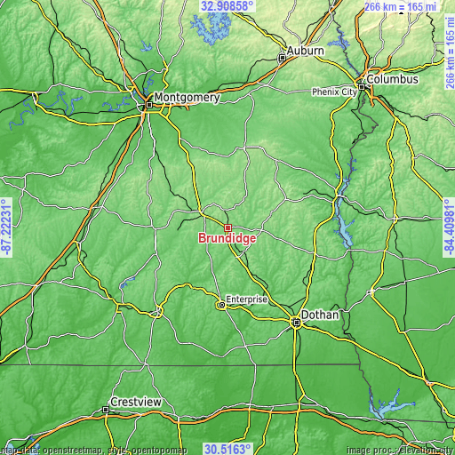 Topographic map of Brundidge