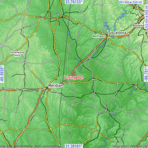 Topographic map of Livingston