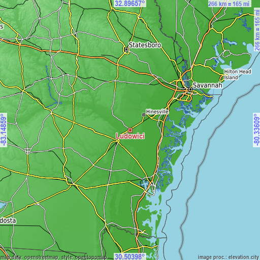 Topographic map of Ludowici