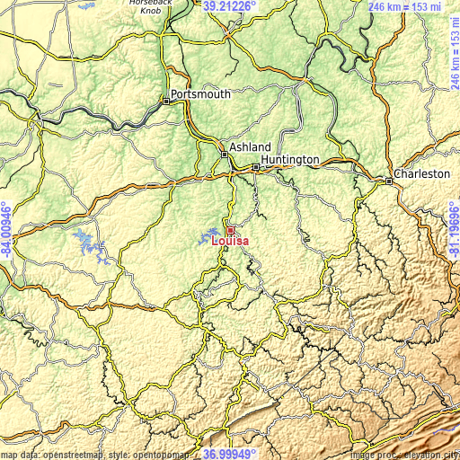 Topographic map of Louisa