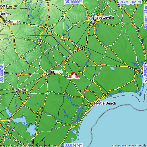 Topographic map of Mullins