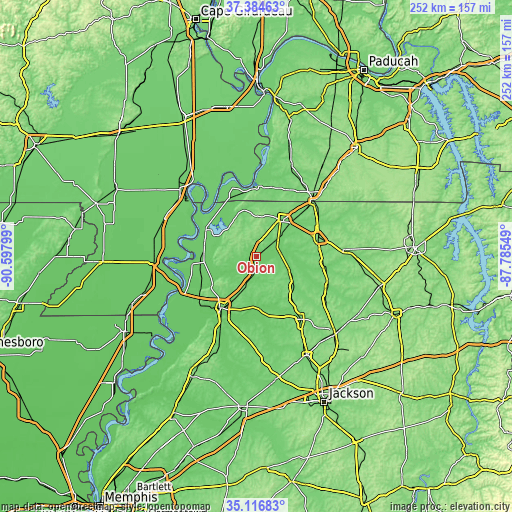 Topographic map of Obion