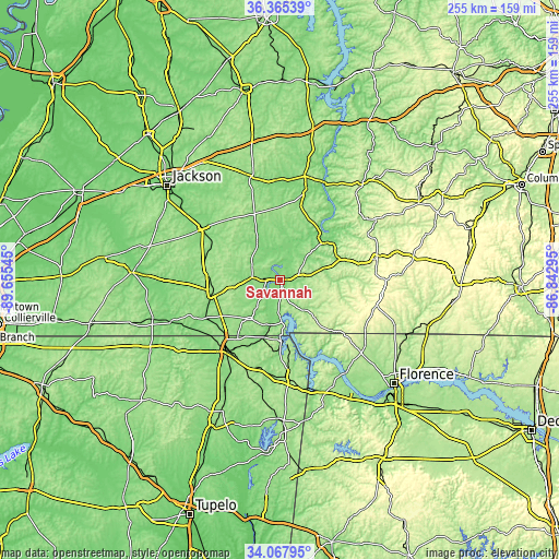 Topographic map of Savannah