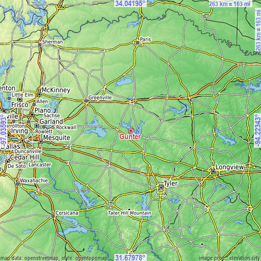 Topographic map of Gunter